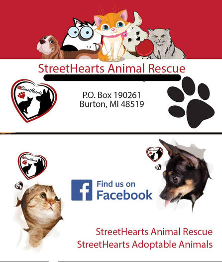 Business Card Design for an Animal Rescue